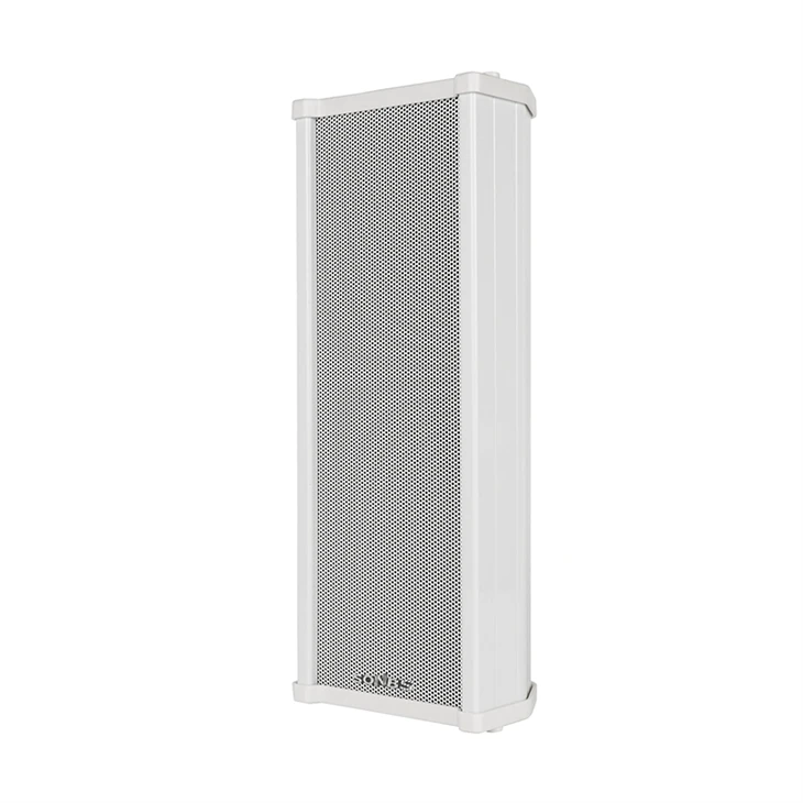 Loa cột phát sóng mạng IP