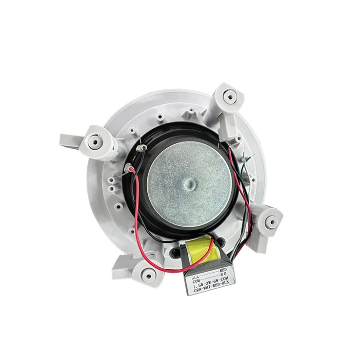 Loa trần 5 inch