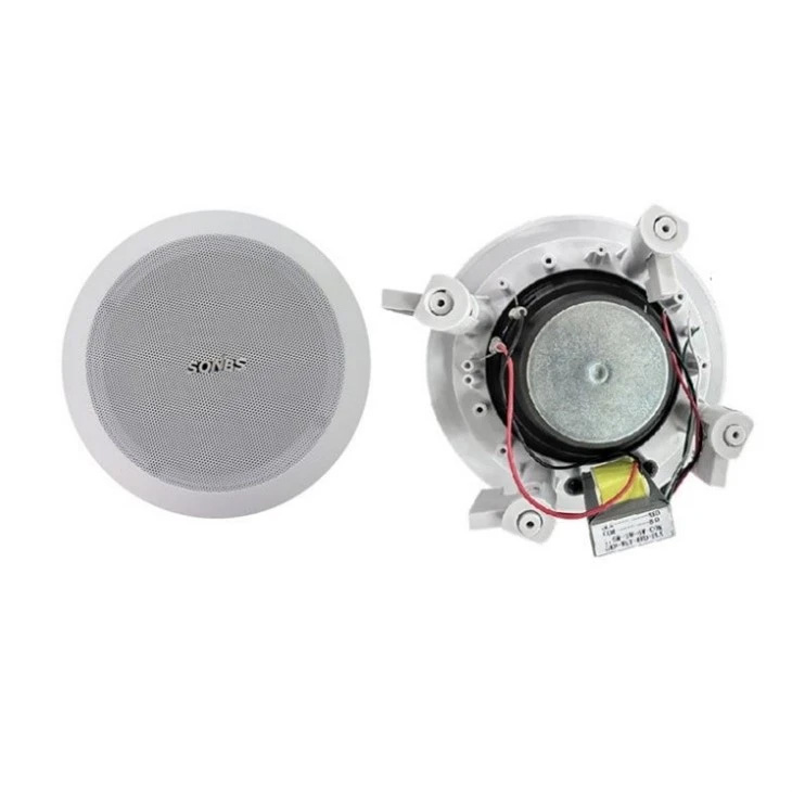Loa trần 5 inch