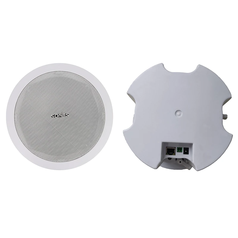 Loa trần IP