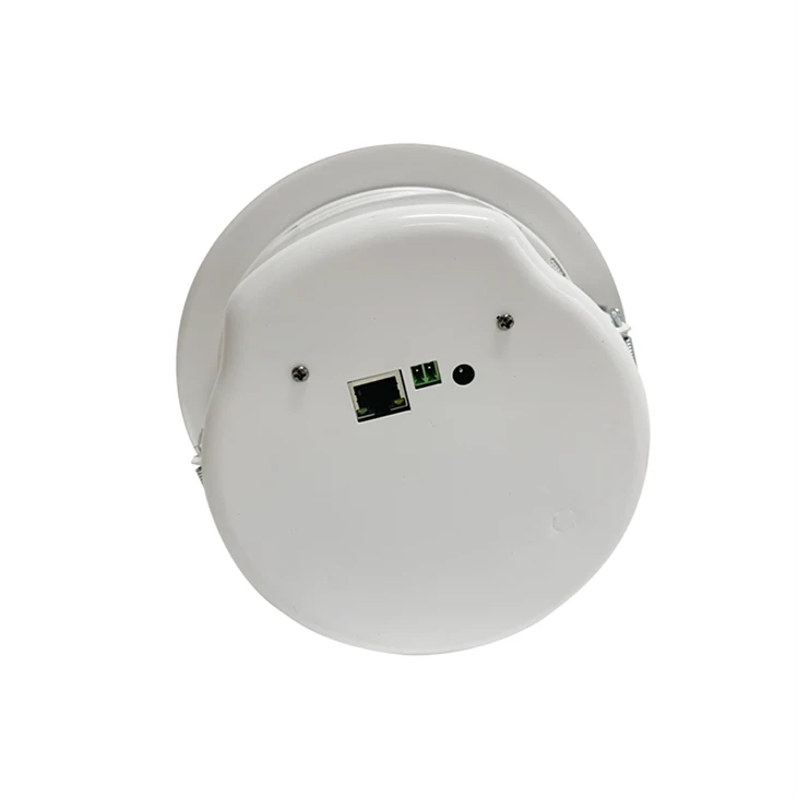 Loa trần IP POE