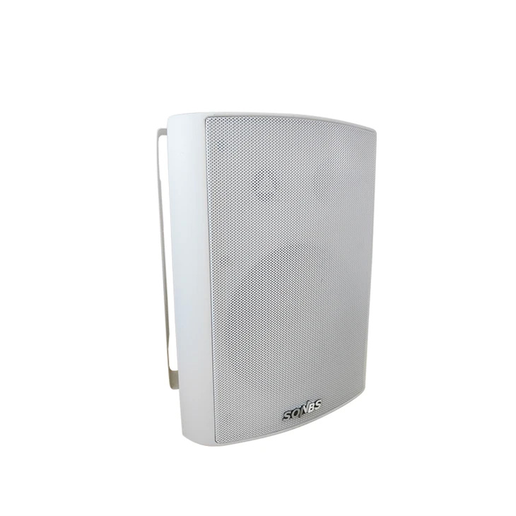 Loa treo tường hai chiều
