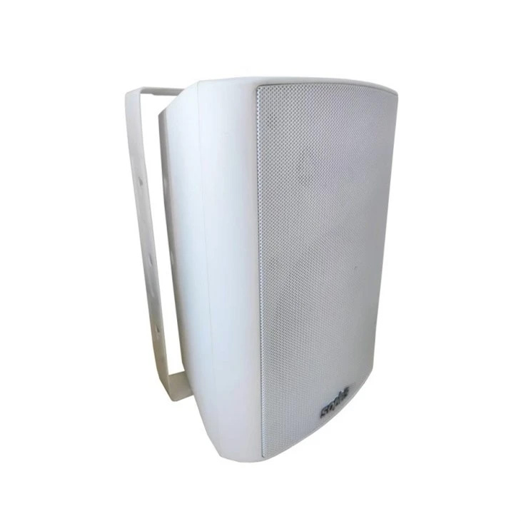 Loa treo tường hai chiều