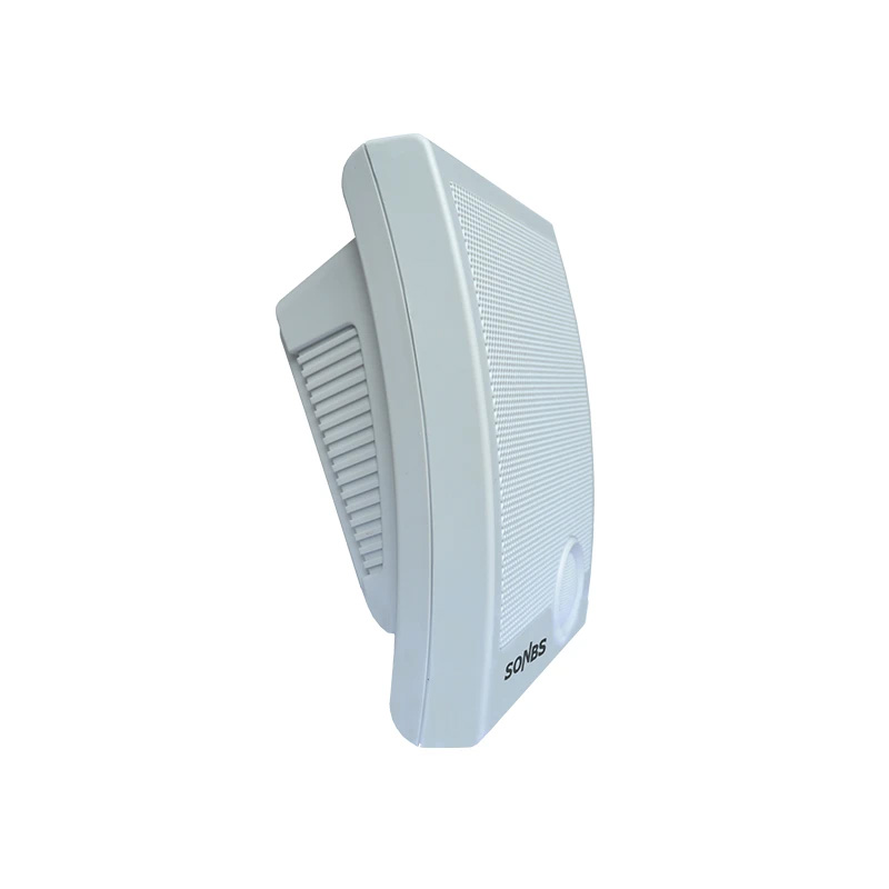 Loa treo tường - s516R